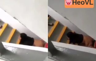 Quay lén cặp đôi giã nhau dưới cầu thang